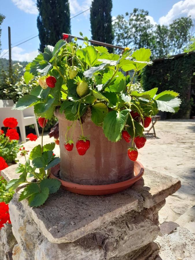 Volver B&B Spoleto Kültér fotó
