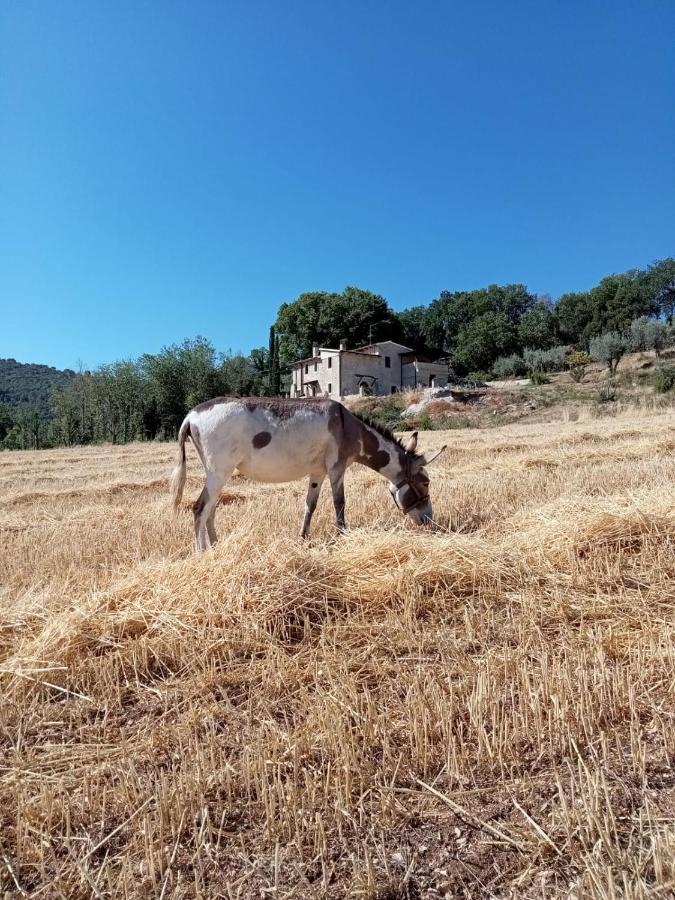 Volver B&B Spoleto Kültér fotó